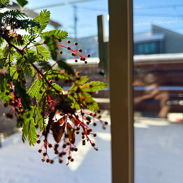 sachieyさんの実例写真