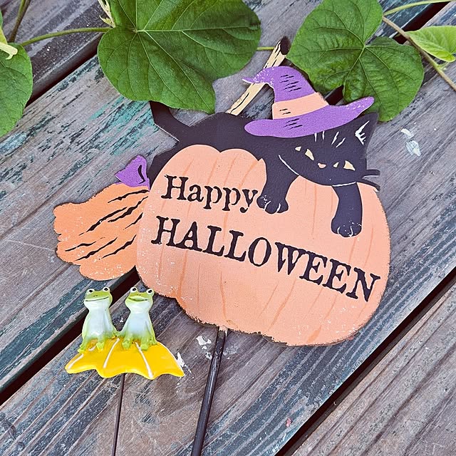 mocomocoさんの部屋