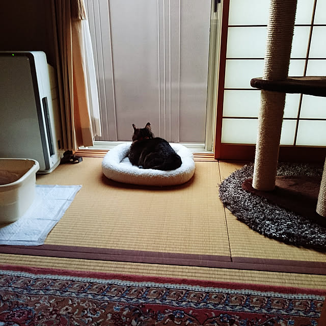 lilyさんの実例写真