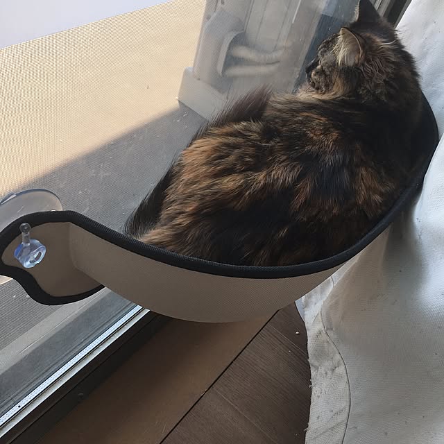 mikomaruさんの実例写真