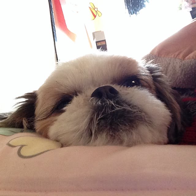 naさんの実例写真