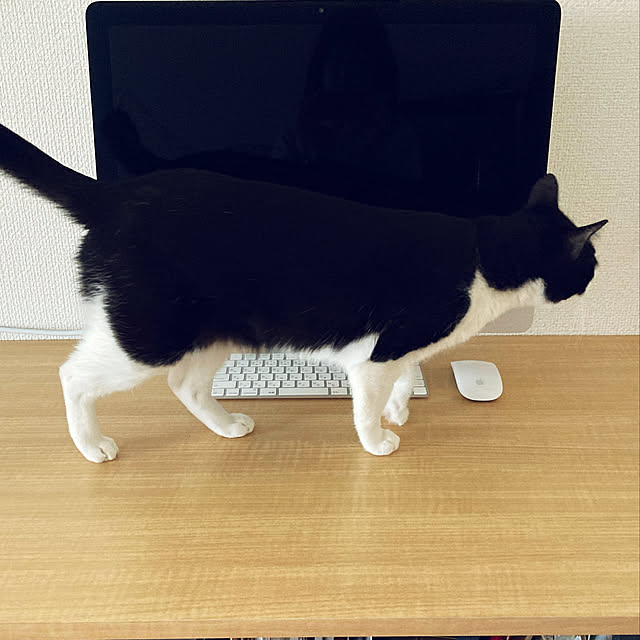 mizeroさんの実例写真