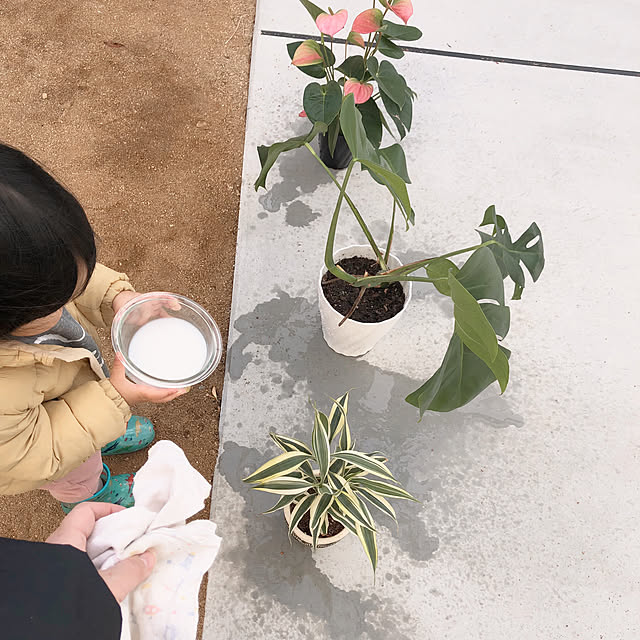 kaorikoさんの実例写真