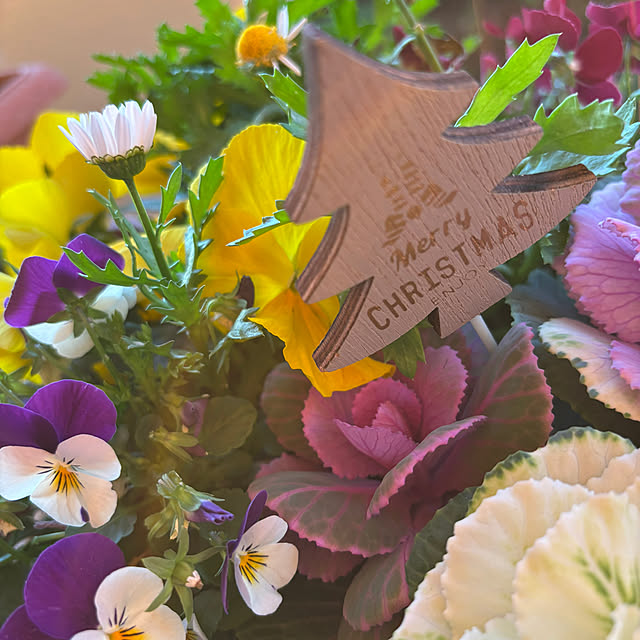 syutmmさんの実例写真