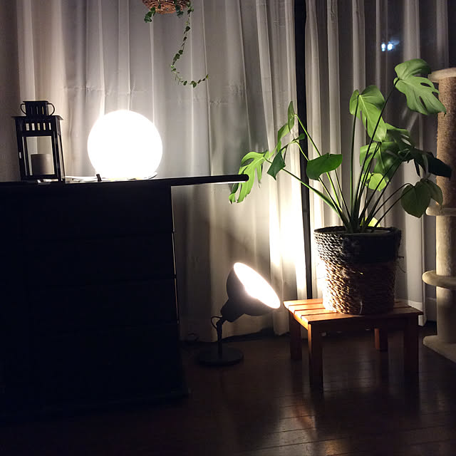 justyさんの実例写真