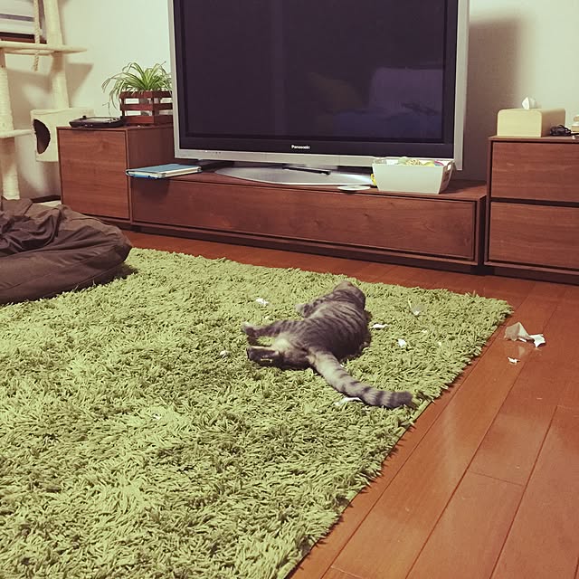 beruさんの実例写真