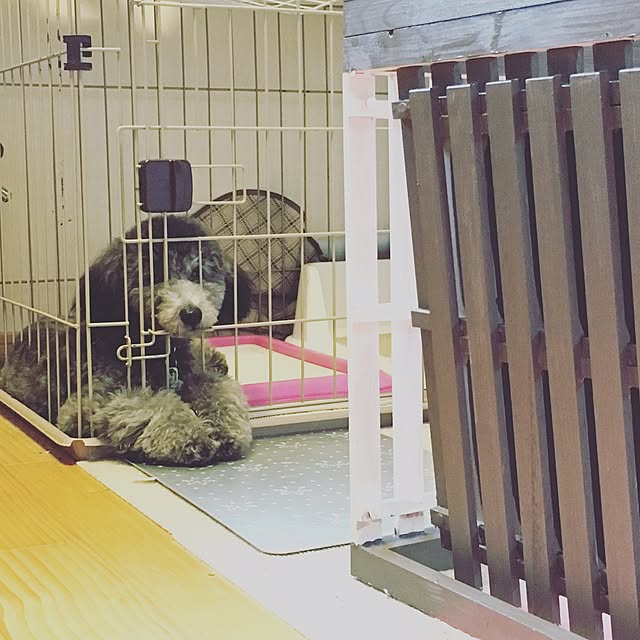 makoriさんの実例写真