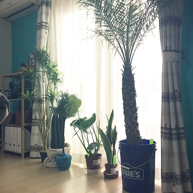 unoさんの実例写真