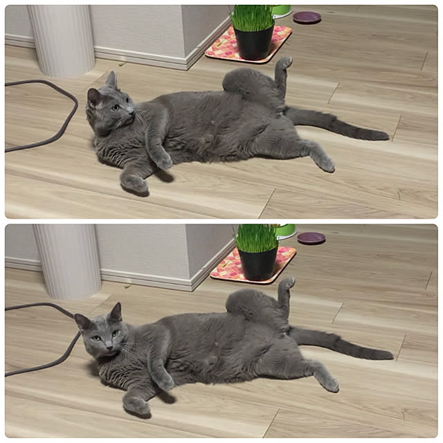 sayuuuさんの実例写真