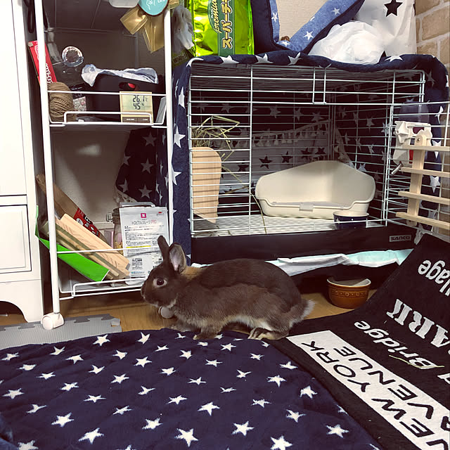 chiiiさんの実例写真