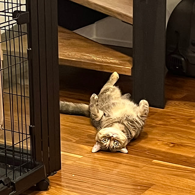 minさんの実例写真