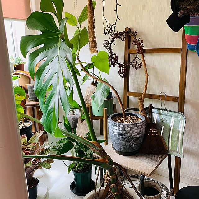 luluさんの部屋