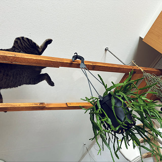 masamasaさんの部屋