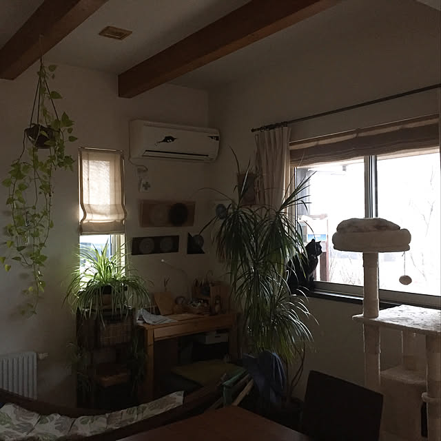 nanaさんの実例写真