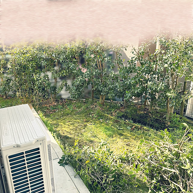 Akitaさんの実例写真