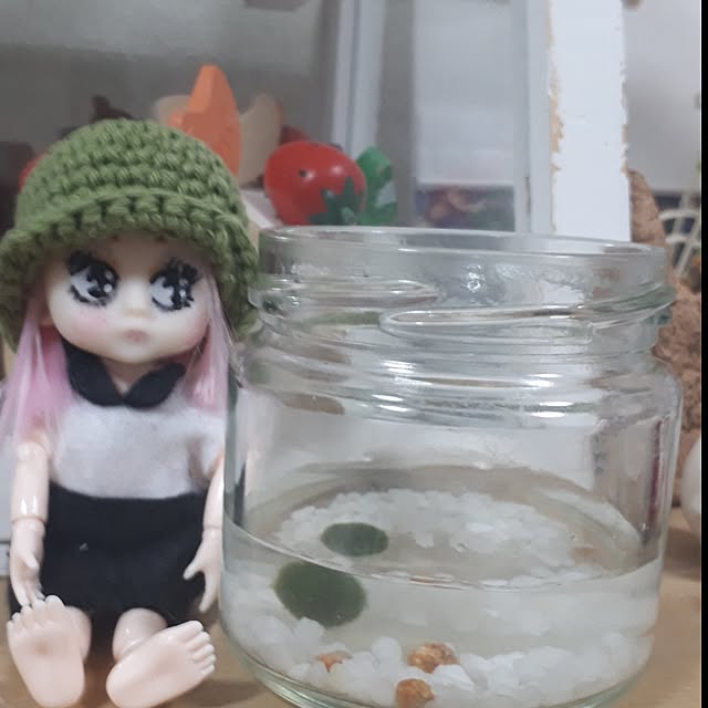 ANTENNAさんの実例写真