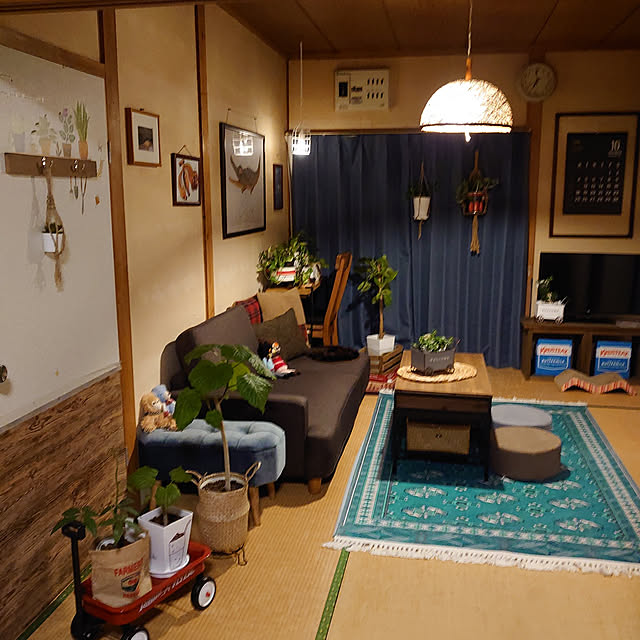 fukuさんの実例写真