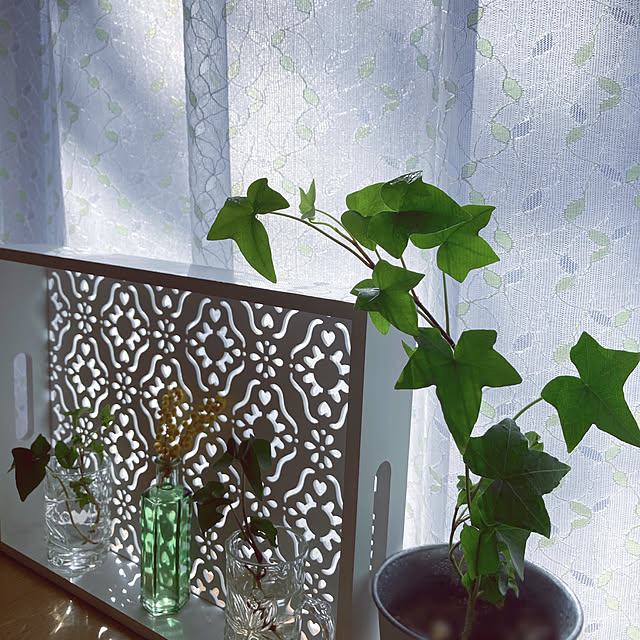 mommyさんの実例写真