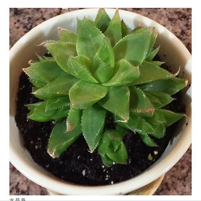 Sherryさんの実例写真