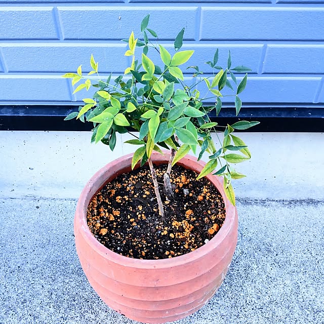 NSDさんの実例写真