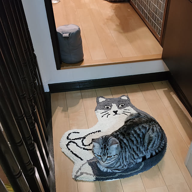 hiro3さんの実例写真