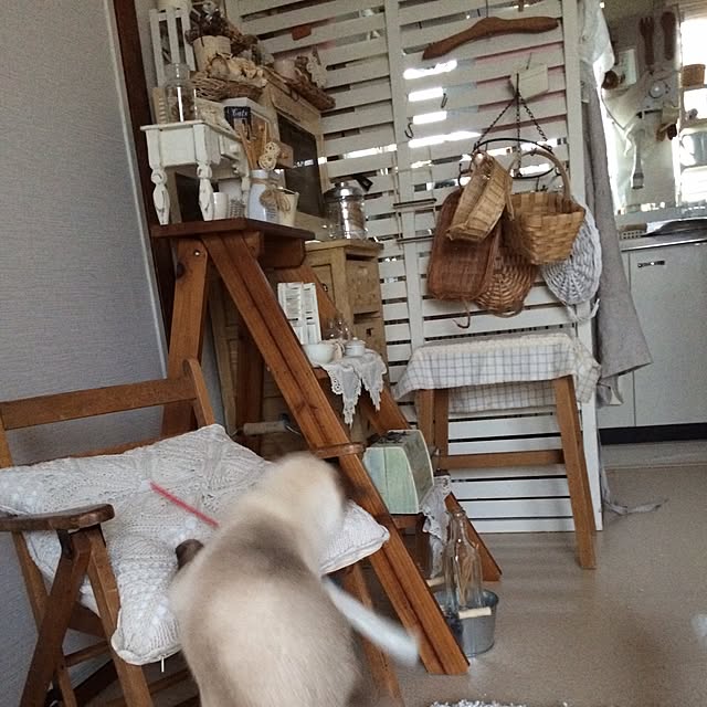 chadoさんの実例写真