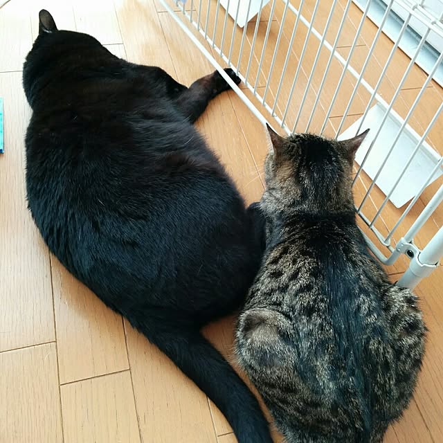 mametarouさんの実例写真
