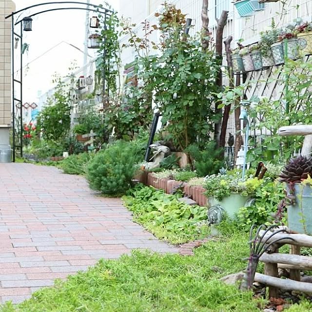 asami_maedaさんの実例写真