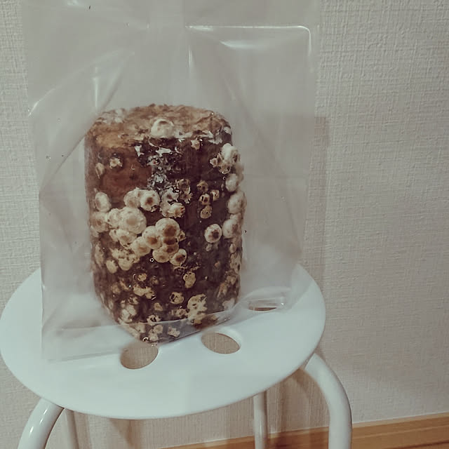 sachiさんの実例写真
