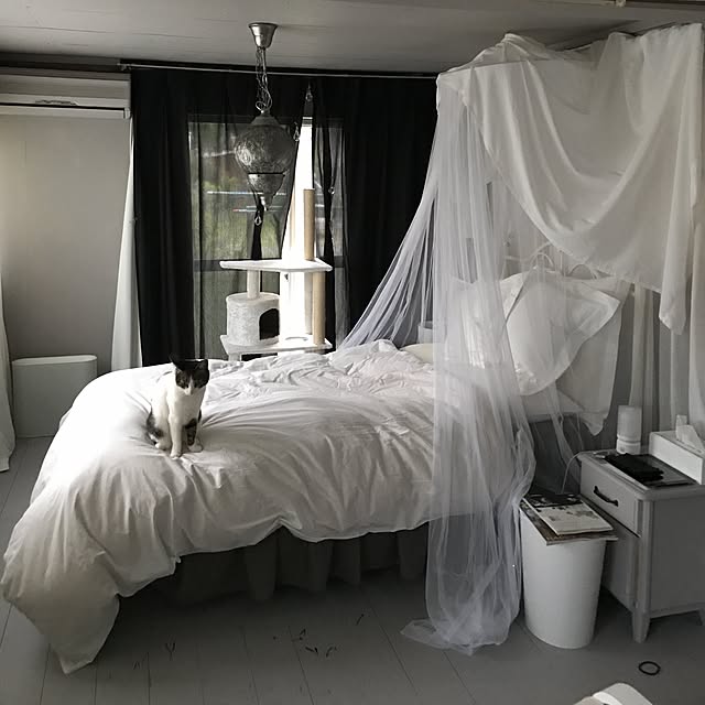 Shihoさんの実例写真