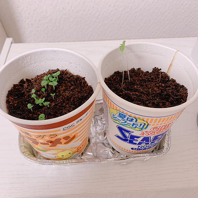 miemekkoさんの部屋