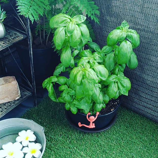 waniwaniさんの実例写真