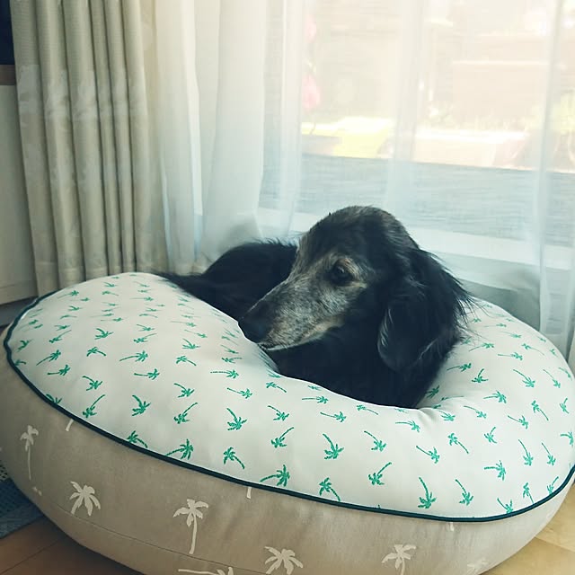 RUIさんの実例写真
