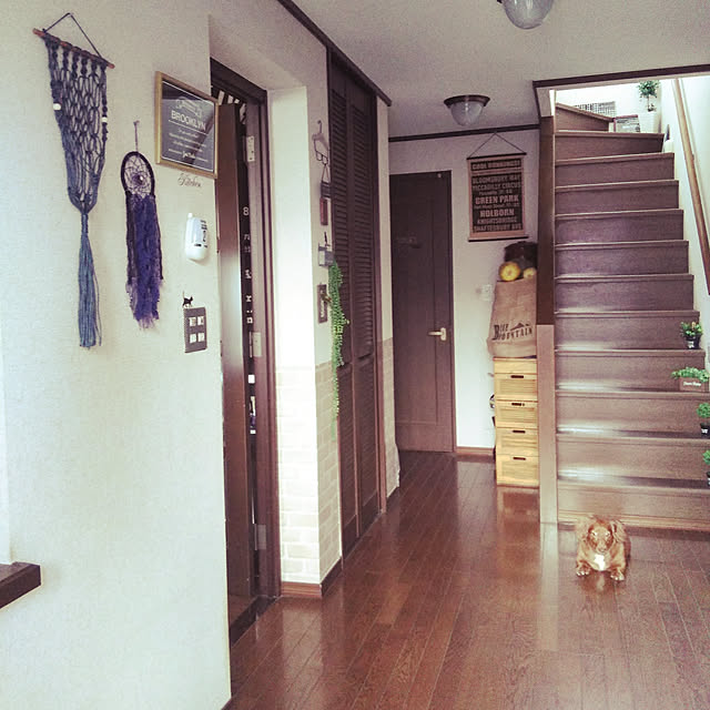 satoさんの実例写真