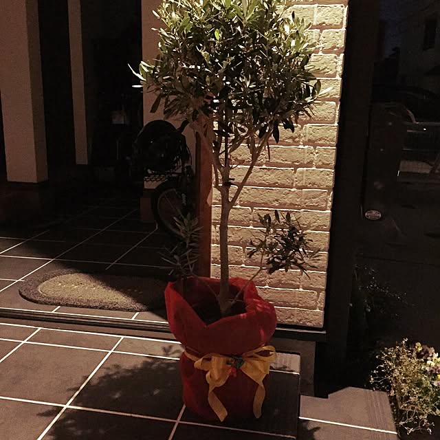 youk2519さんの実例写真