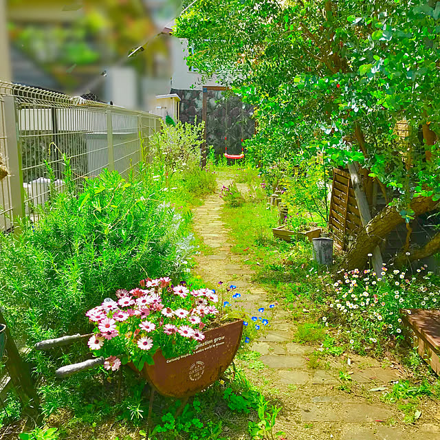 funapiiさんの実例写真