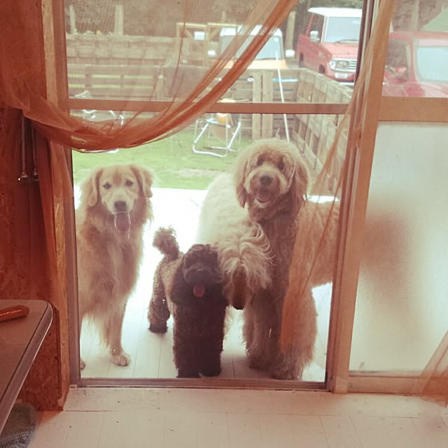 実例写真