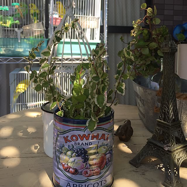 magachanさんの実例写真