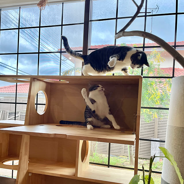 Yukinekoさんの部屋