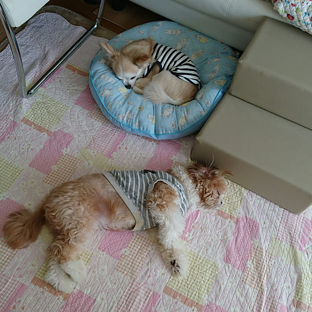 ronさんの実例写真