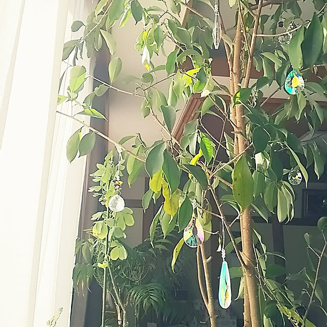 sunflowerさんの実例写真