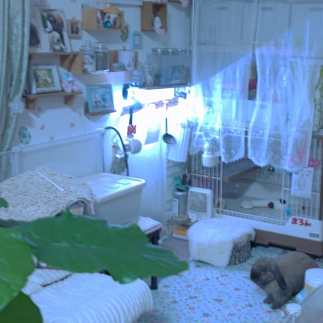 mariaさんの実例写真