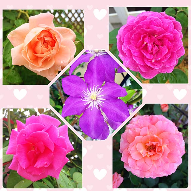 HappyRoseさんの実例写真