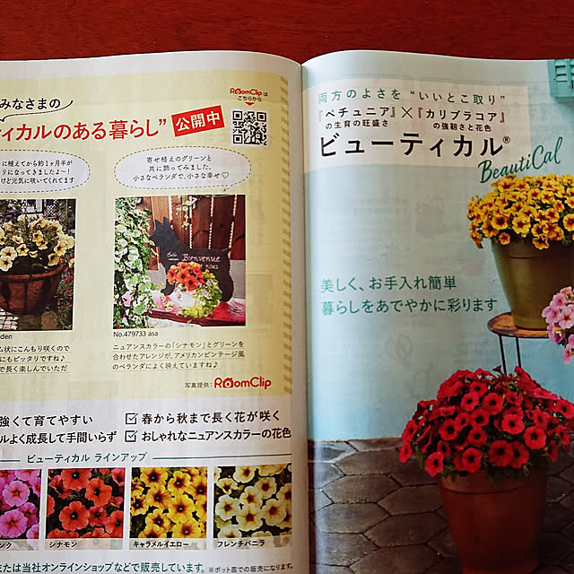 asaさんの実例写真