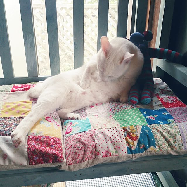 amifuuさんの実例写真
