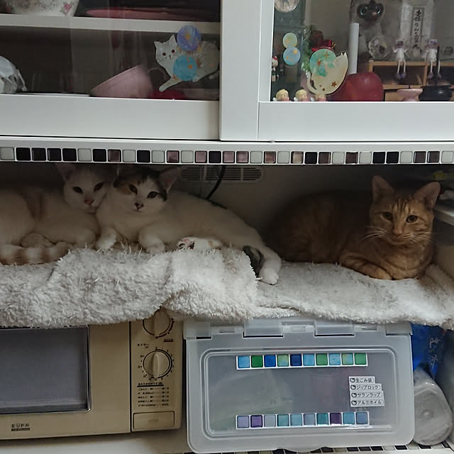 muuchanさんの実例写真
