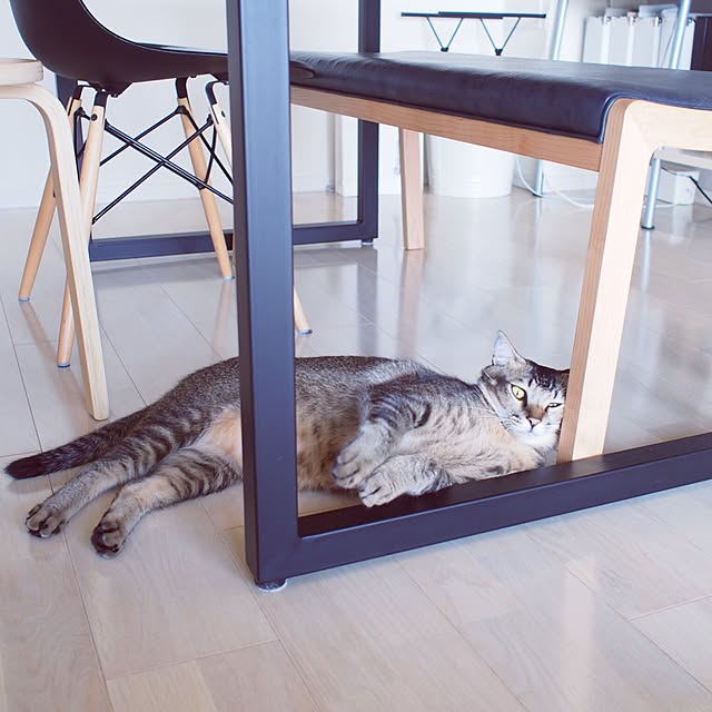 Reikoさんの実例写真