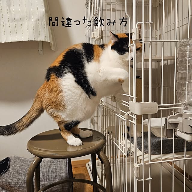 koyurizuさんの実例写真