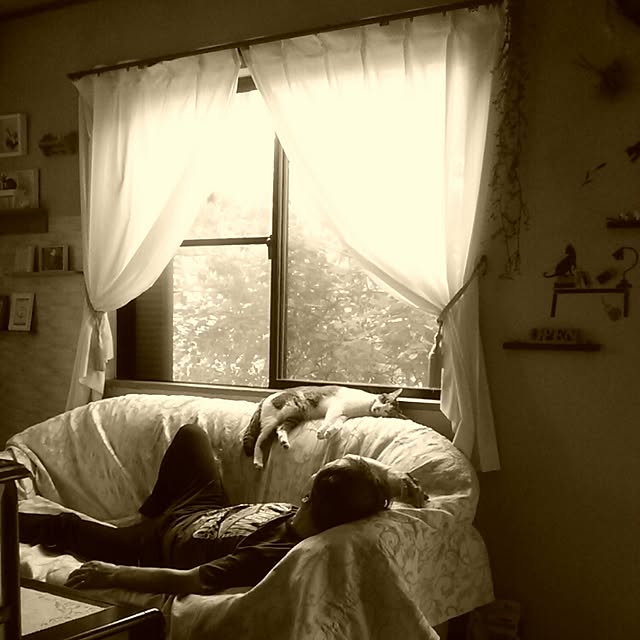 Tomopさんの実例写真