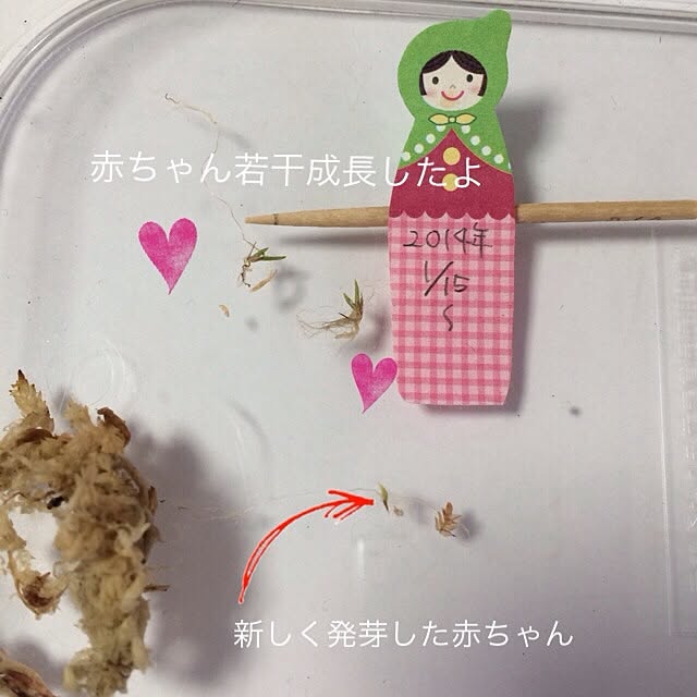 lovelinさんの実例写真